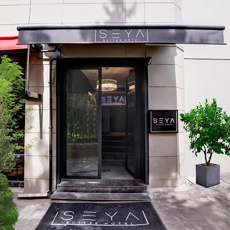 Taksim Seya 3* איסטמבול