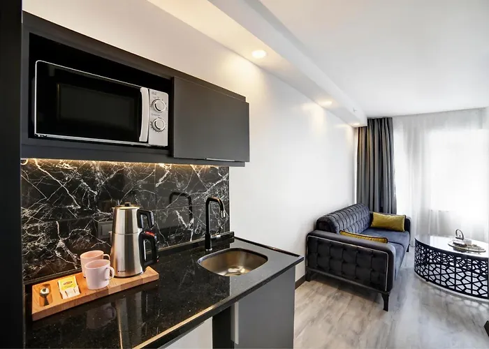 Hotel Taksim Seya 3*